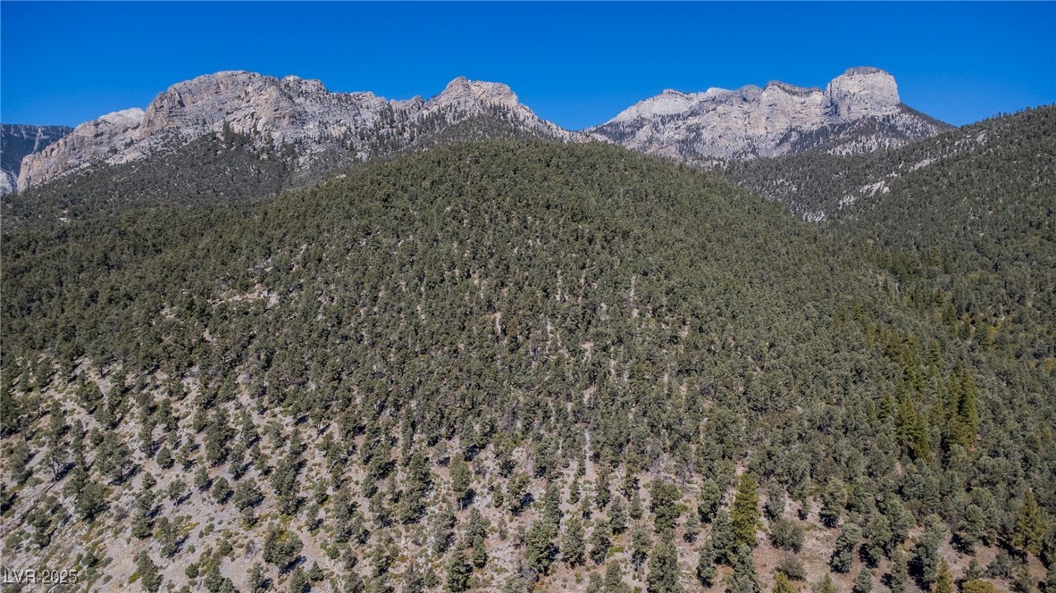 4063 Zugspitz Way Mount Charleston, NV 89124 - Photo 89 of 89 Mountain view