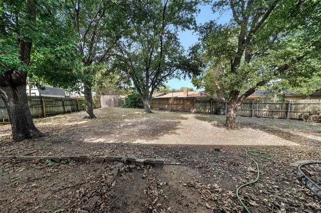 a view of road with large trees