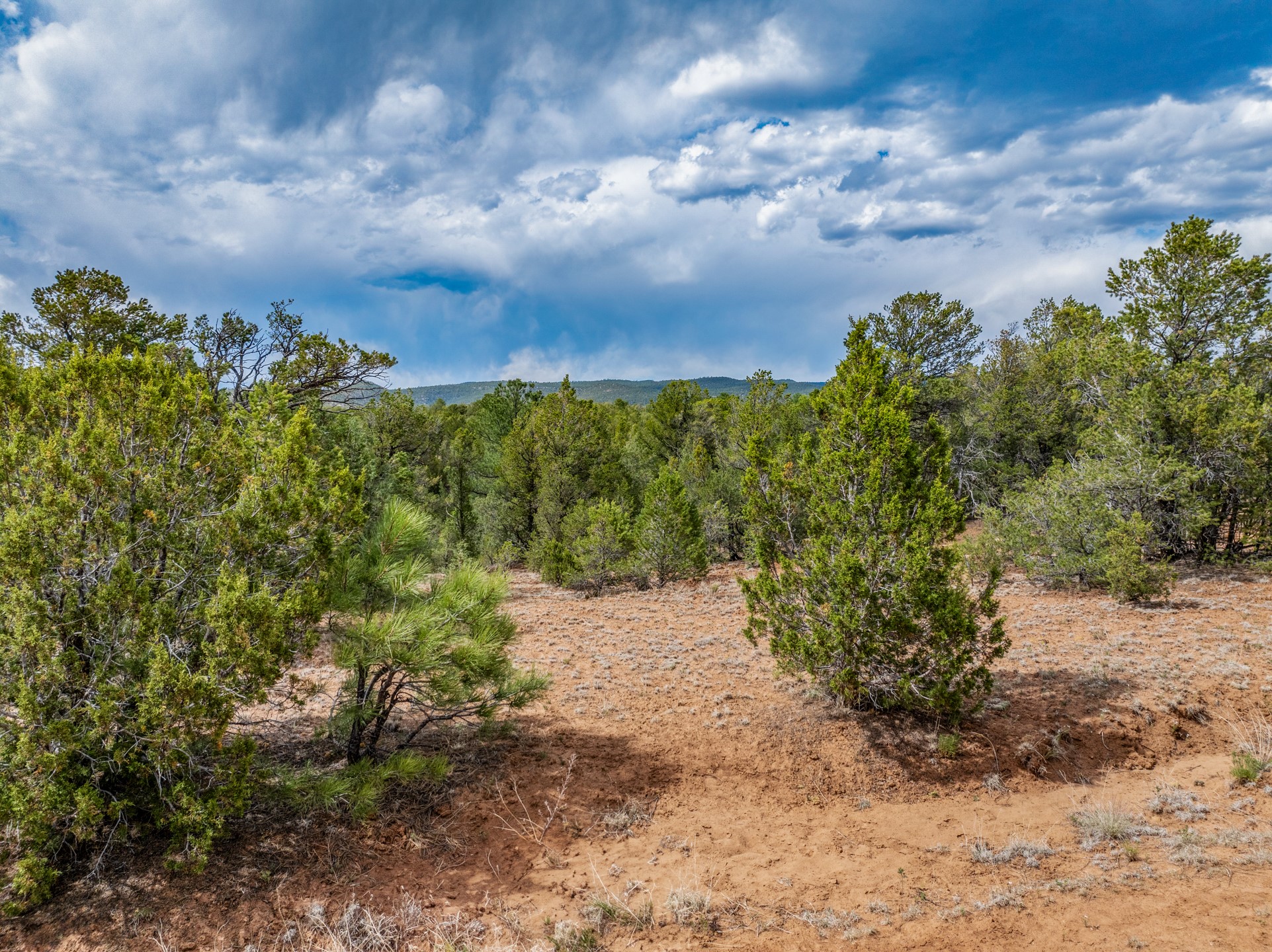 2.38-acres Old Colonias Road Pecos, NM 87552 - Photo 11 of 25