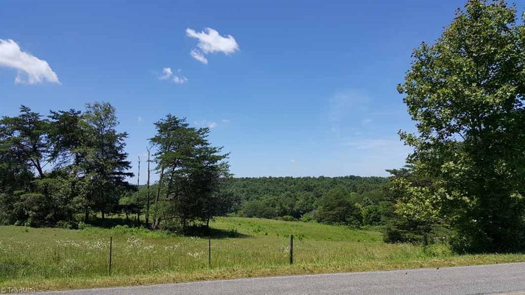 144 Clyde Hayes Road Lowgap, NC 27024 - Photo 28 of 30 Gallery Image 28