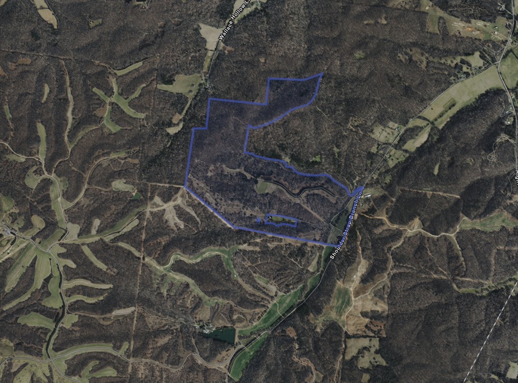 1092 Shoulder Strap Branch Road Vanleer, TN 37181 - Photo 13 of 14 a view of an outdoor space