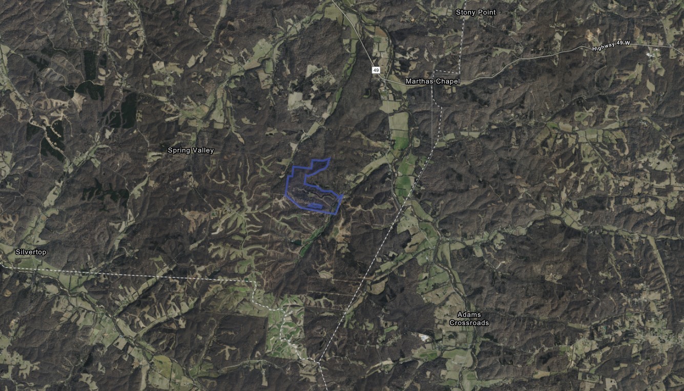 1092 Shoulder Strap Branch Road Vanleer, TN 37181 - Photo 14 of 14 a close up of a tree