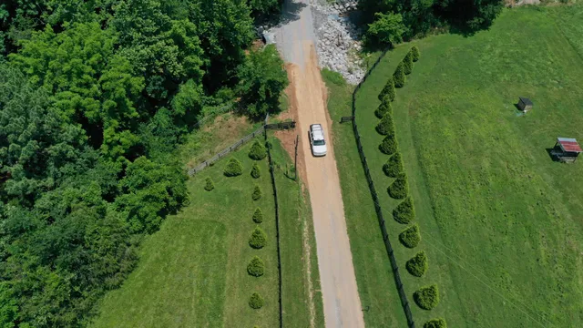 a green field with lots of bushes