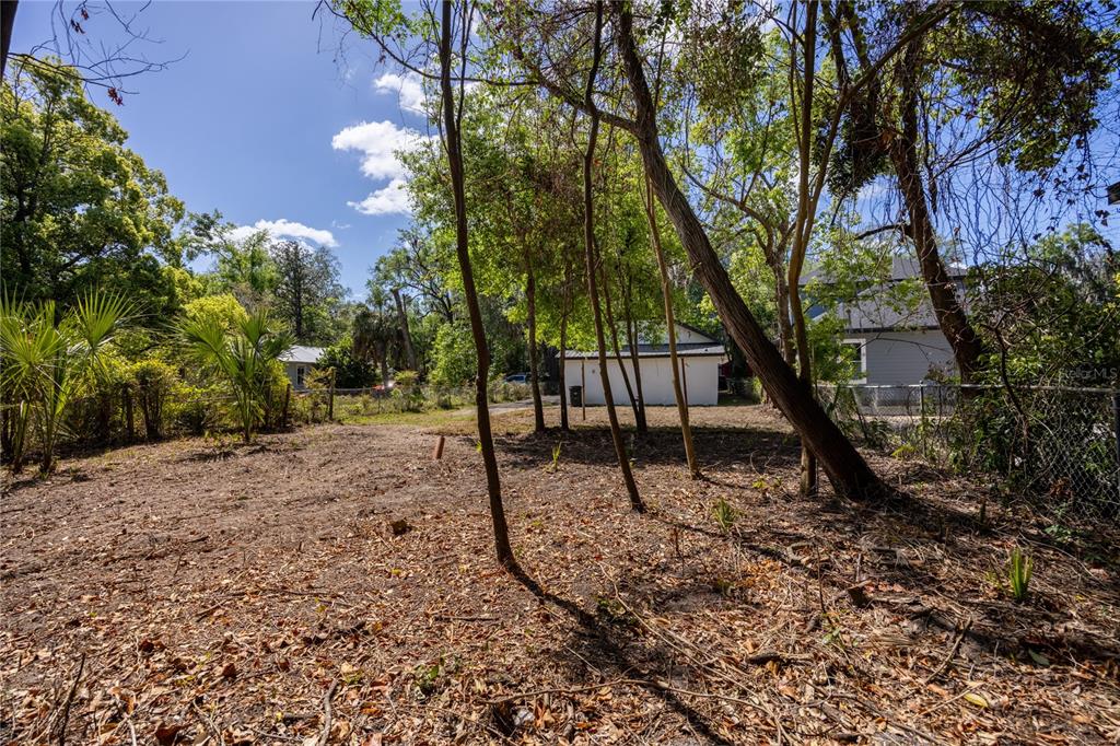 418 Northwest 3rd Avenue Gainesville, FL 32601 - Photo 30 of 31 a view of a yard with a tree