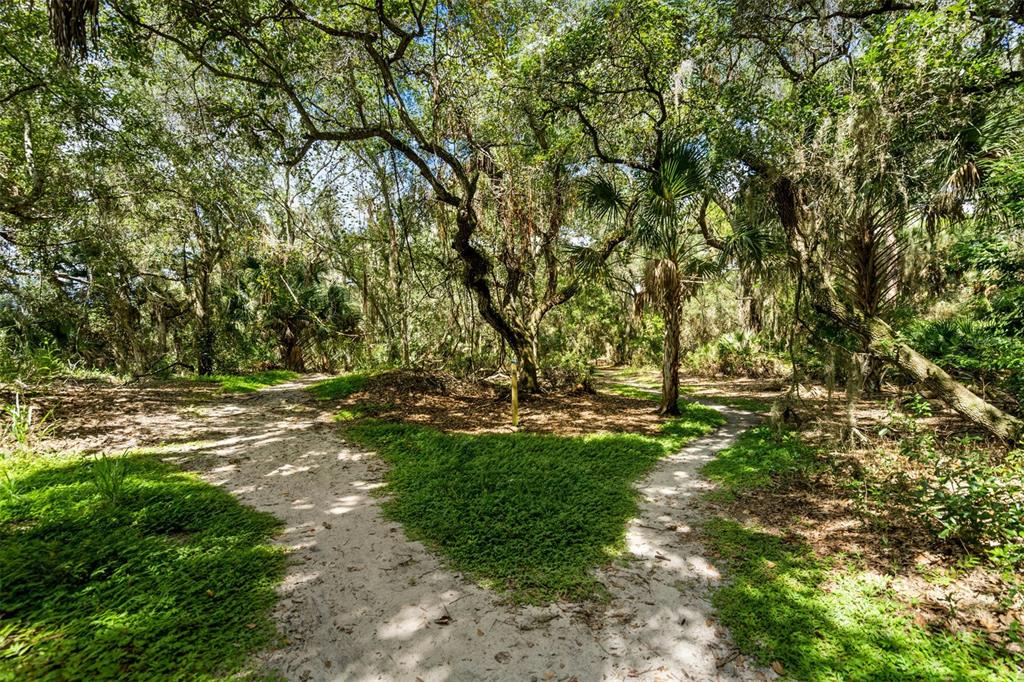 2911 Woodpine Court Sarasota, FL 34231 - Photo 59 of 88