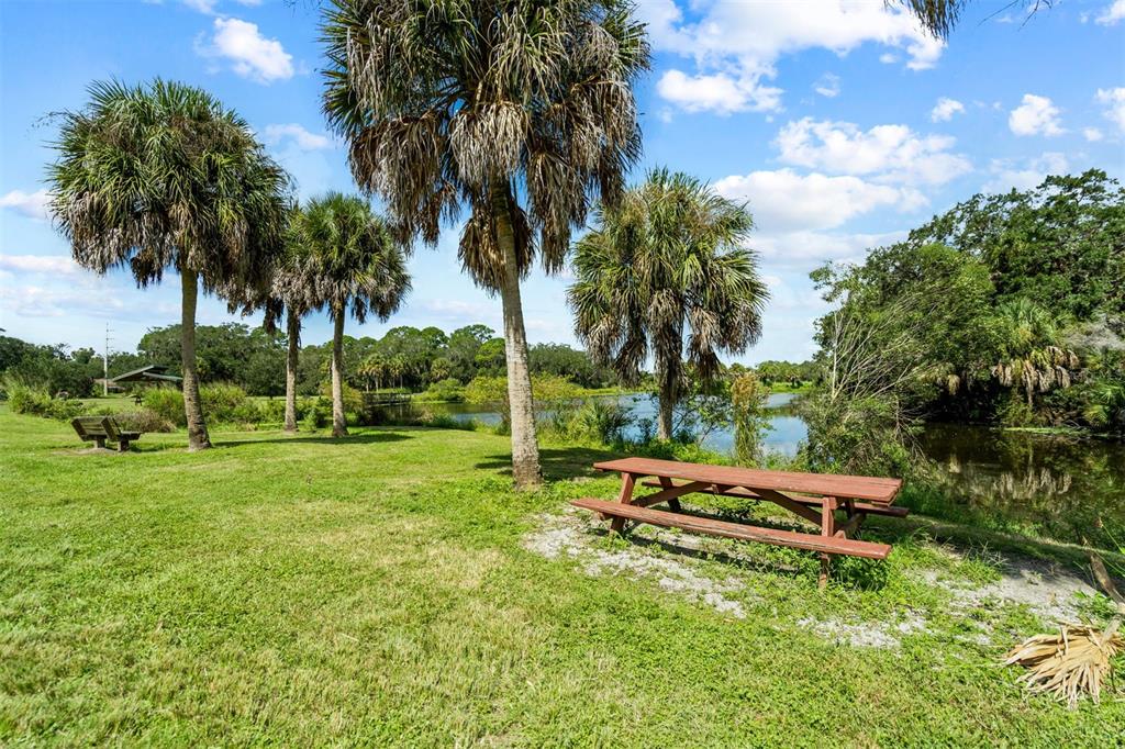 2911 Woodpine Court Sarasota, FL 34231 - Photo 60 of 88 a backyard of a house with table and chairs plants and large trees