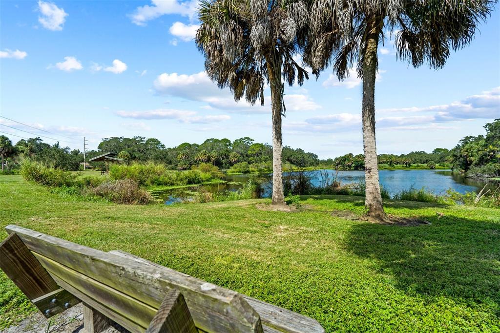 2911 Woodpine Court Sarasota, FL 34231 - Photo 61 of 88 a view of a garden with a tree