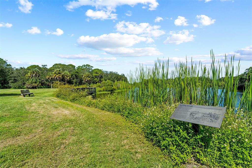 2911 Woodpine Court Sarasota, FL 34231 - Photo 65 of 88