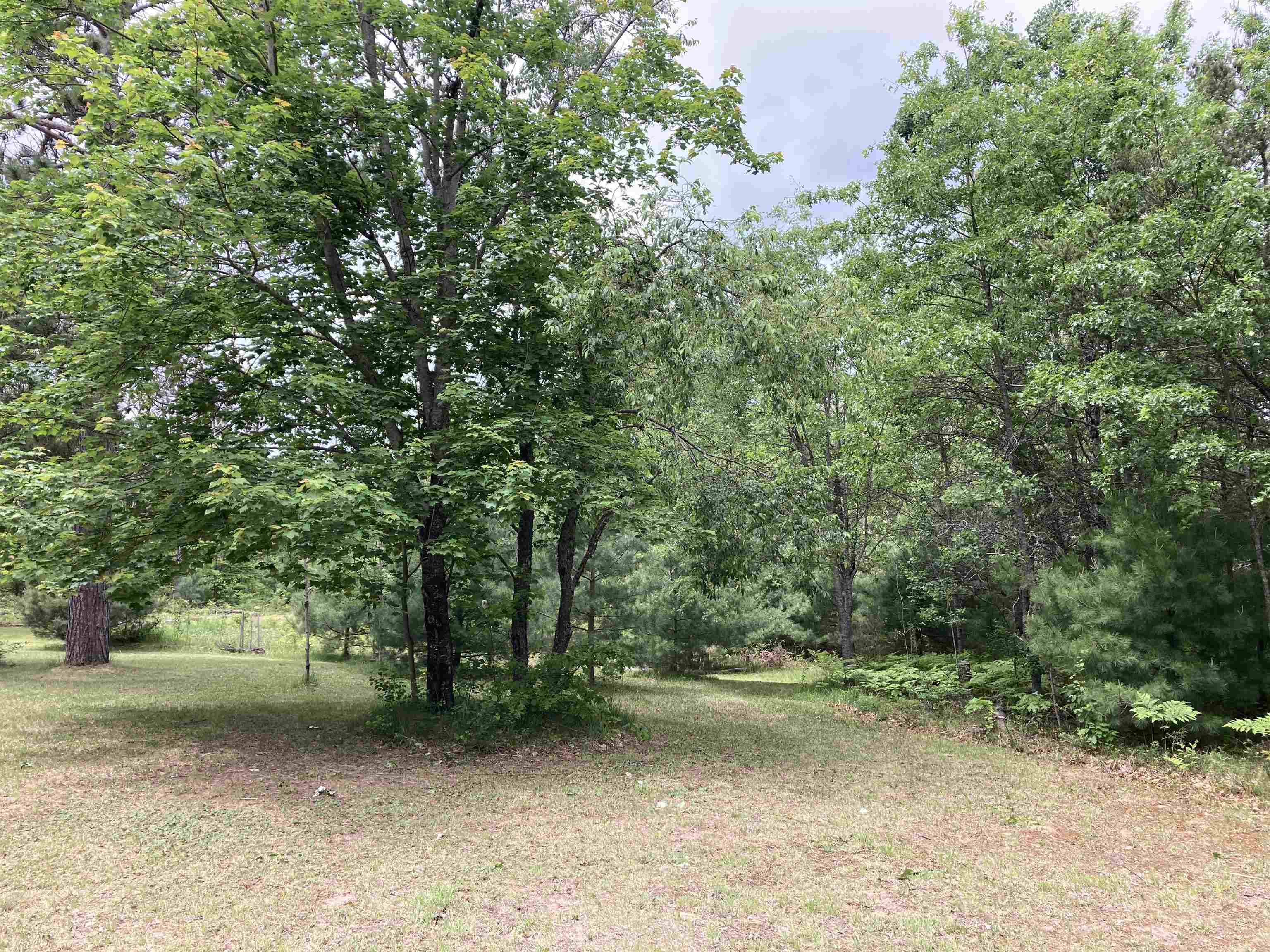 1875 Richardson Road Lewiston, MI 49756 - Photo 3 of 53