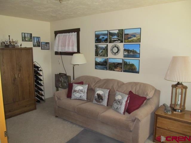 23899 Ute Trail Road Cedaredge, CO 81413 - Photo 14 of 31 Gallery Image 14