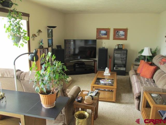23899 Ute Trail Road Cedaredge, CO 81413 - Photo 8 of 31 Gallery Image 8