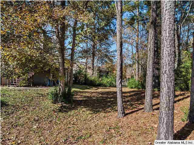 504 Fieldstone Drive Helena, AL 35080 - Photo 28 of 32