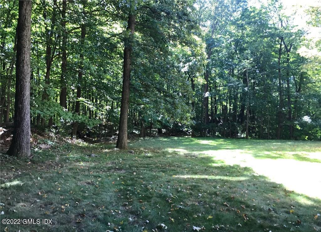 61 Sumner Road Greenwich, CT 06831 - Photo 18 of 19 a big yard with lots of green space and deers