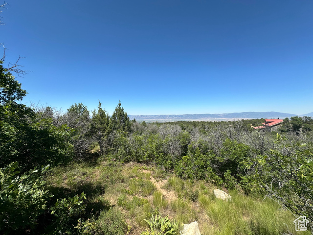 14050 Oak Rdg Circle, Unit 144 Mount Pleasant, UT 84647 - Photo 20 of 28 View of local wilderness featuring a mountain backdrop