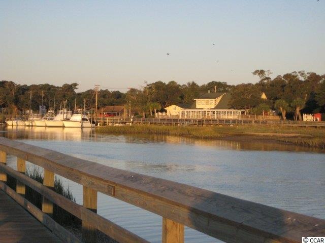 244 Pickering Drive Murrells Inlet, SC 29576 - Photo 40 of 40 Gallery Image 40