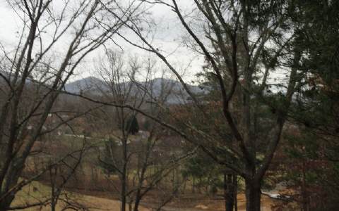 4 Bugscuffle Road Hiawassee, GA 30546 - Photo 1 of 1 Main View