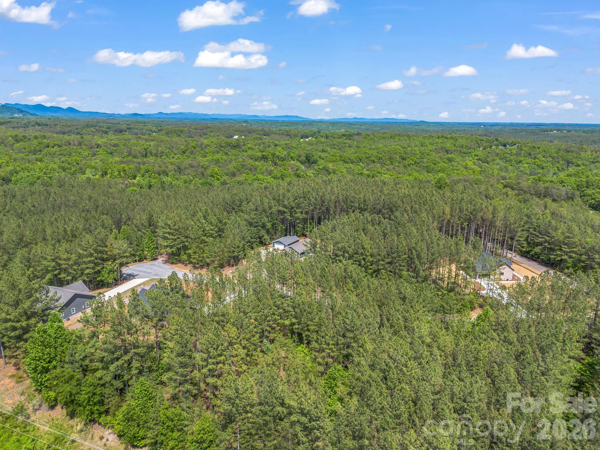 78 Ashley Court Mill Spring, NC 28756 - Photo 38 of 42
