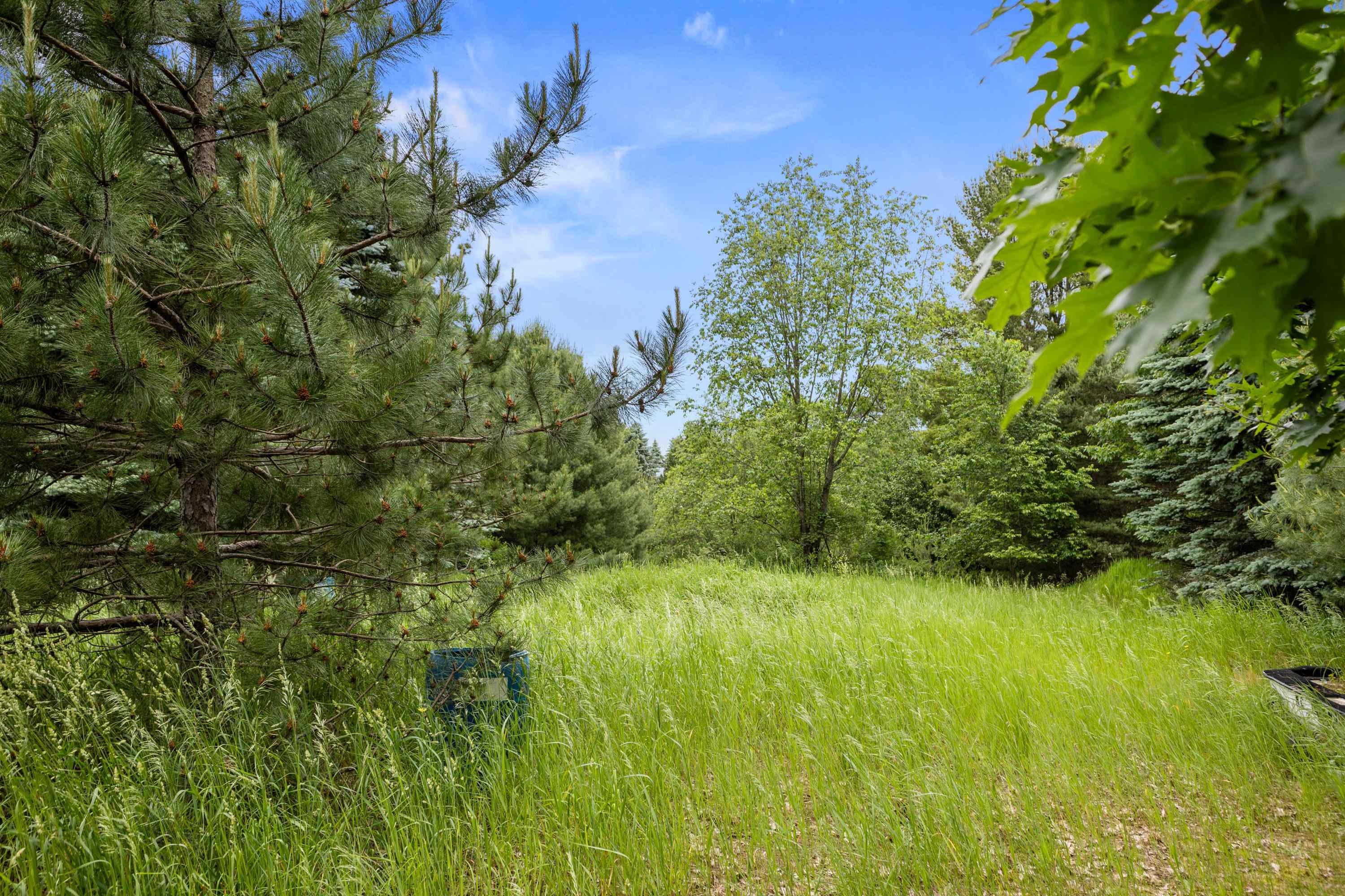 6983 Boone Road Traverse City, MI 49685 - Photo 11 of 50