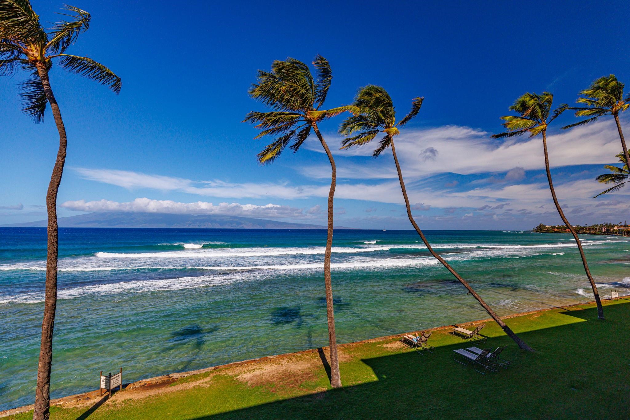 3543 Lower Honoapiilani Road, Unit F303 Lahaina, HI 96761 - Photo 7 of 20 a view of a backyard