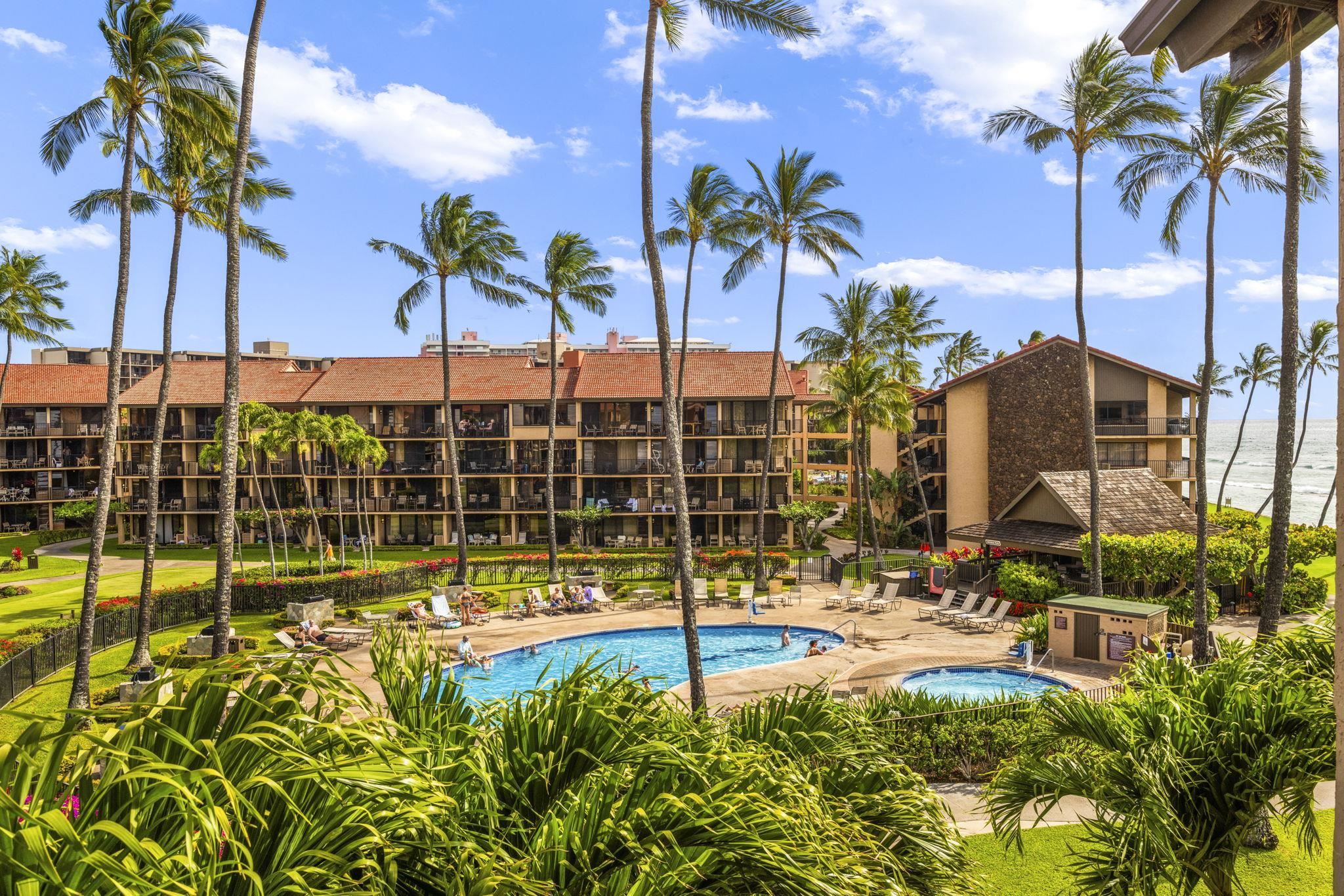 3543 Lower Honoapiilani Road, Unit F303 Lahaina, HI 96761 - Photo 8 of 20 a view of a swimming pool with a lawn chairs and palm tree