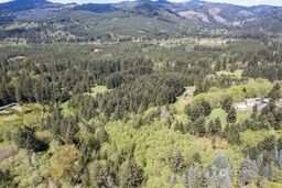 191 Sugar Pine Road Ariel, WA 98603 - Photo 2 of 10 a view of a lush green field