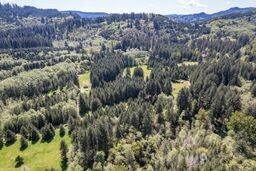 191 Sugar Pine Road Ariel, WA 98603 - Photo 3 of 10 a view of a forest with a tree