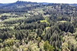 191 Sugar Pine Road Ariel, WA 98603 - Photo 4 of 10 a view of a lush green forest with trees and some houses