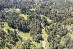 191 Sugar Pine Road Ariel, WA 98603 - Photo 6 of 10 a view of a yard with plants and tree