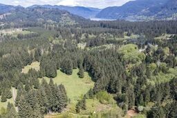 191 Sugar Pine Road Ariel, WA 98603 - Photo 8 of 10 a view of a lush green forest with a mountain and trees