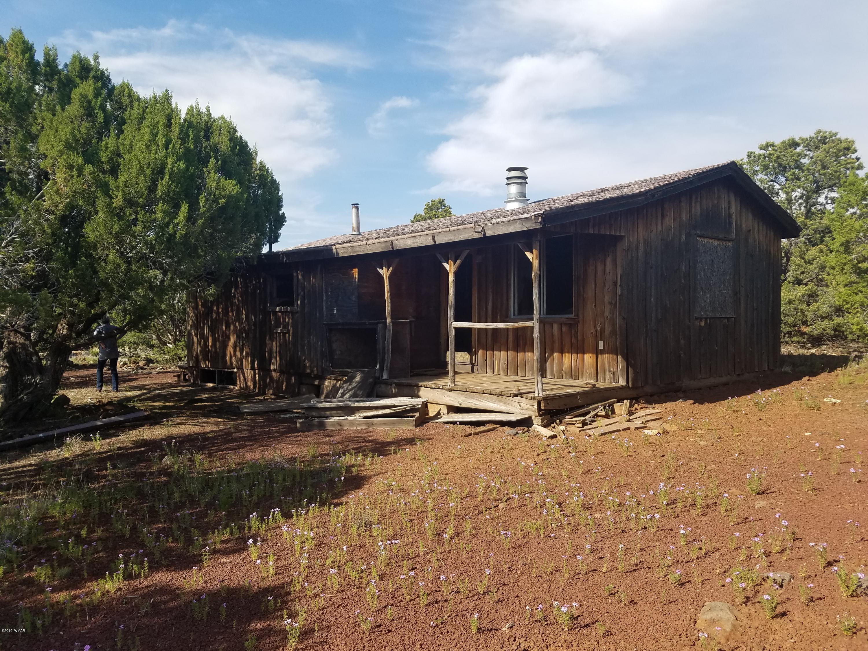 148 Acr 8093 Road Concho, AZ 85924 - Photo 2 of 5