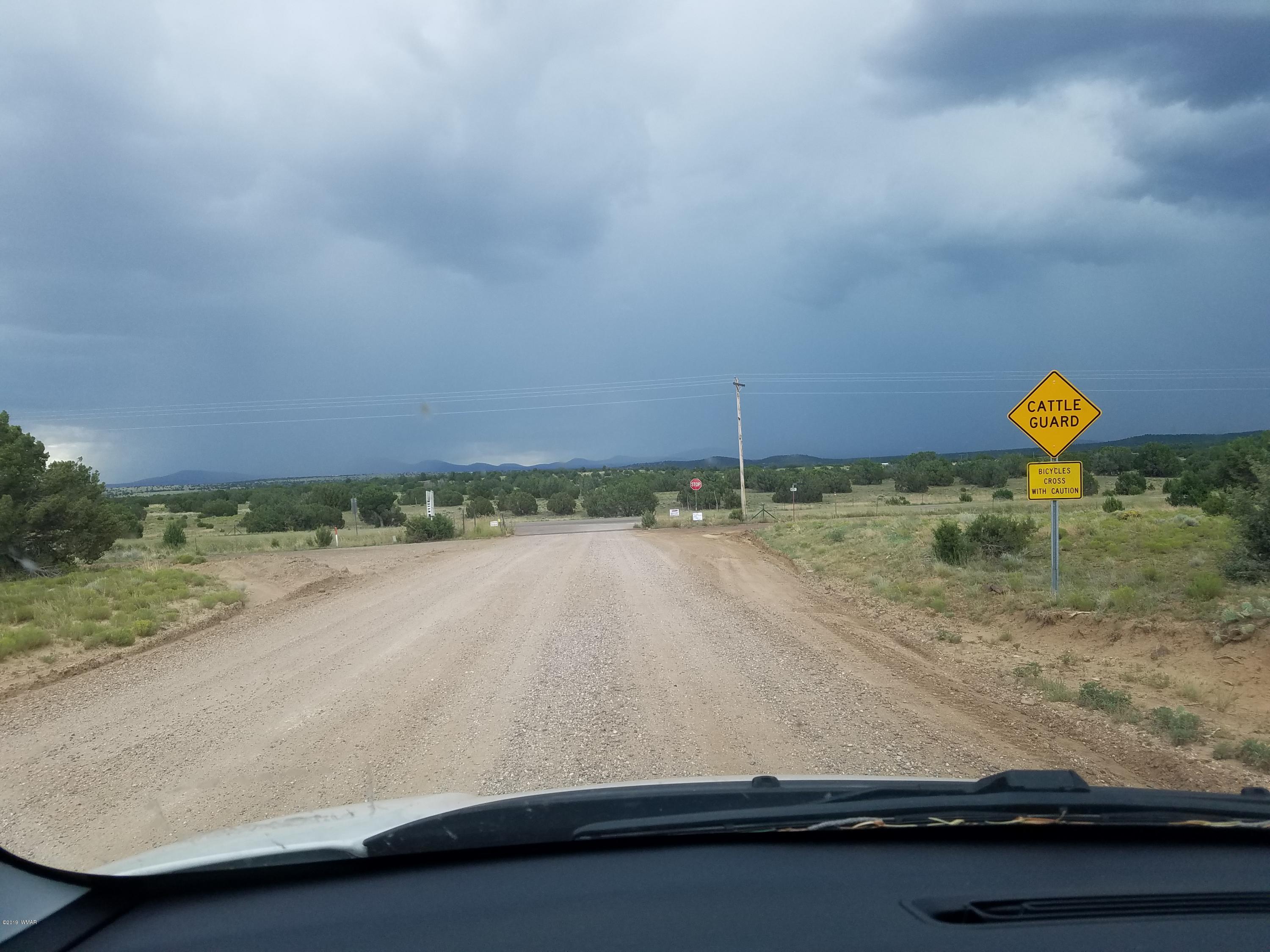 148 Acr 8093 Road Concho, AZ 85924 - Photo 5 of 5