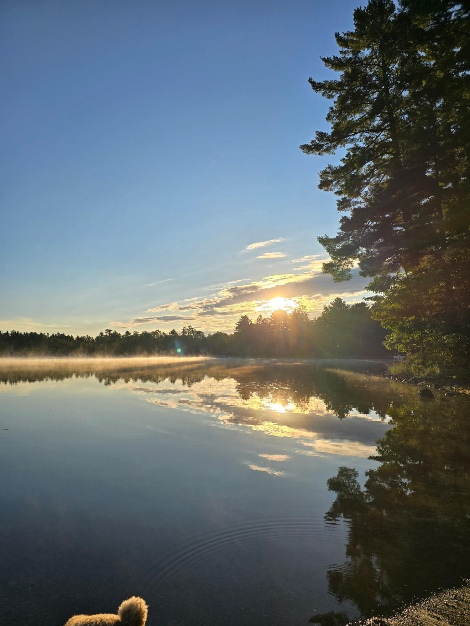 193 Scotts Point Road Clifton, ME 04428 - Photo 28 of 29 5914774548673425739