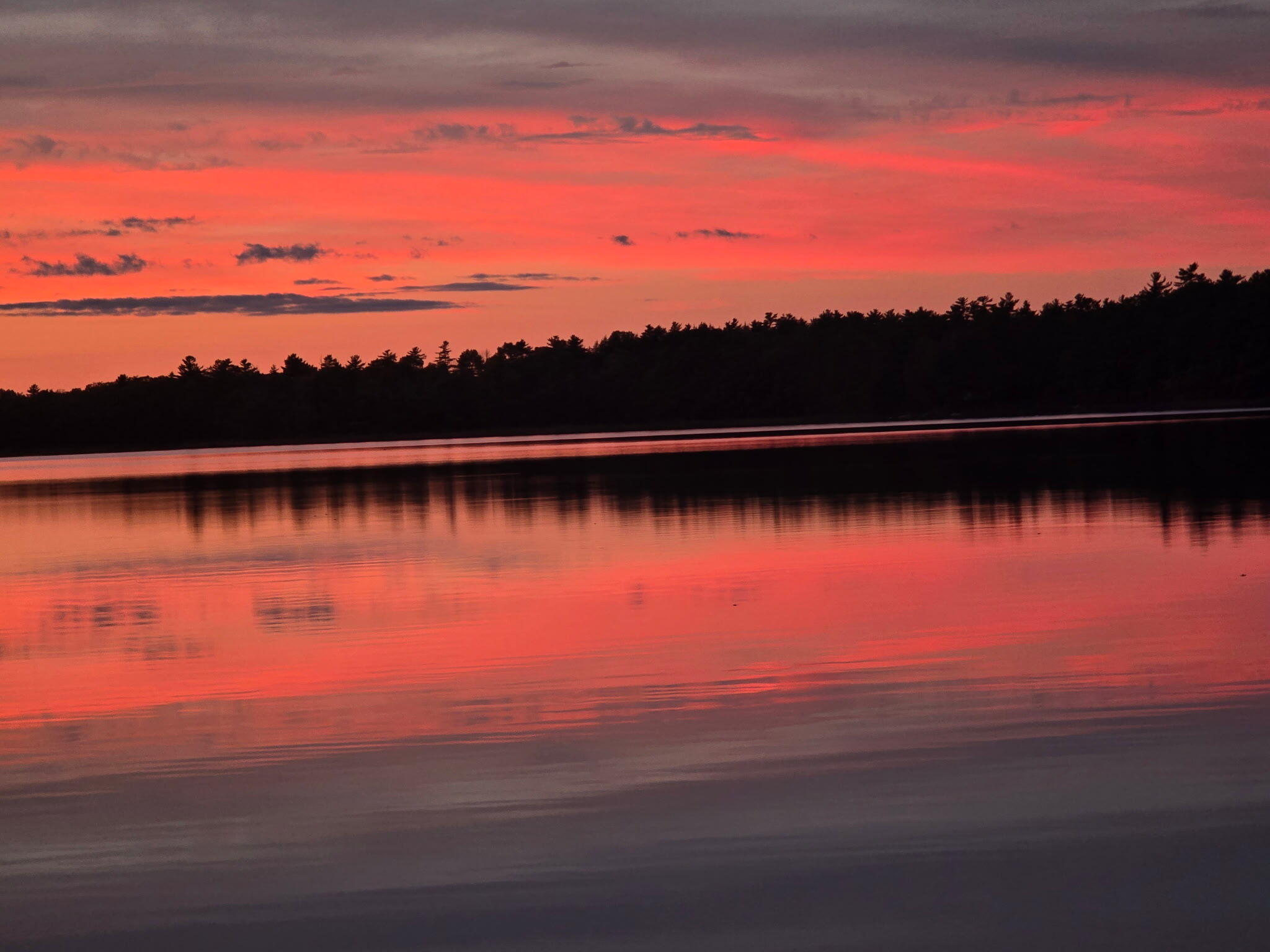 193 Scotts Point Road Clifton, ME 04428 - Photo 3 of 29 4341832387863066893