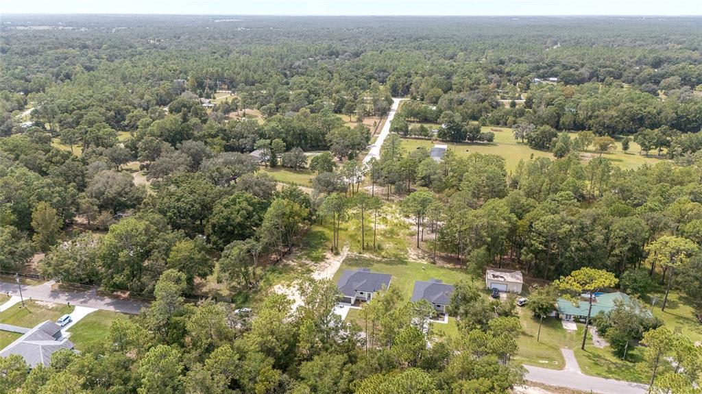 4380 Southwest 159th Court Ocala, FL 34481 - Photo 43 of 52 an aerial view of forest