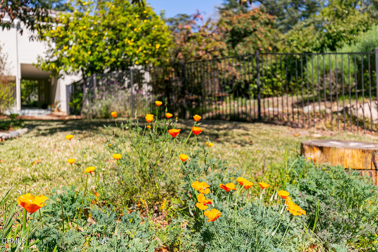 596 Concha Street Altadena, CA 91001 - Photo 38 of 50 596 Concha St 038-mls