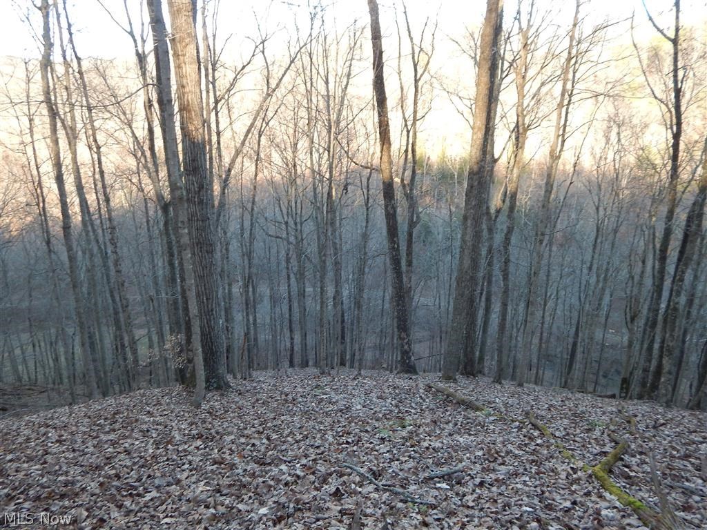 Straight Fork Harrisville, WV 26362 - Photo 10 of 12