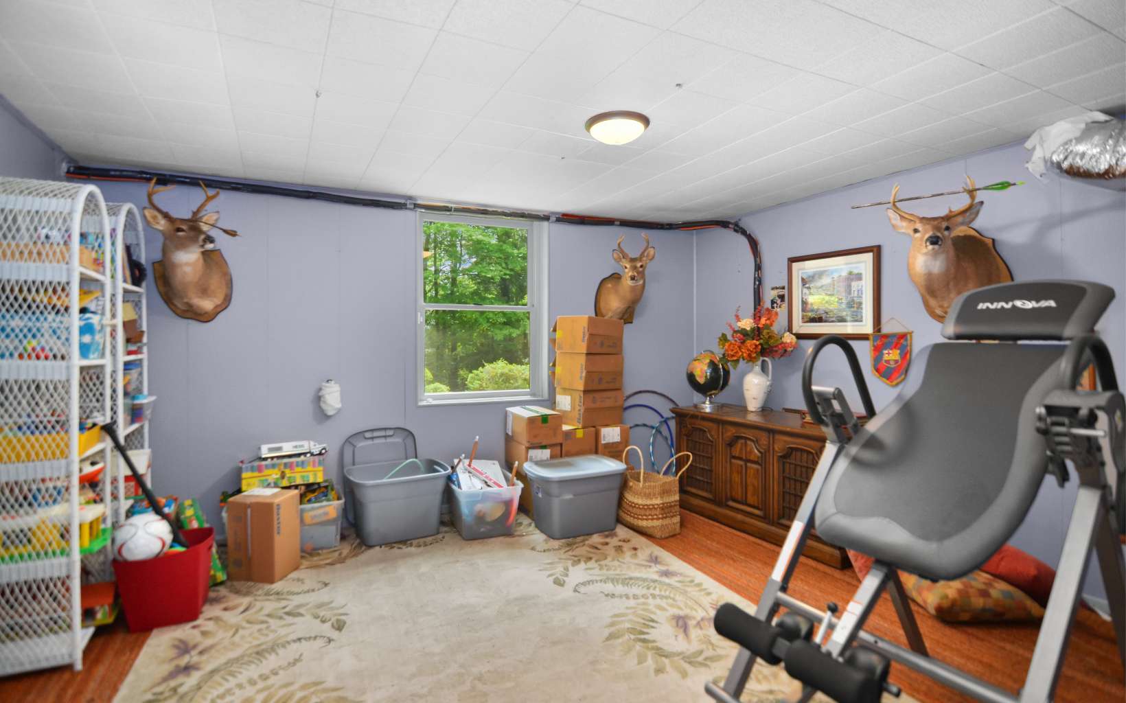 2850 Appalachian Highway Blue Ridge, GA 30513 - Photo 26 of 30 a view of a room with gym equipment