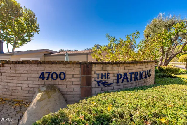 a view of a yard with an trees