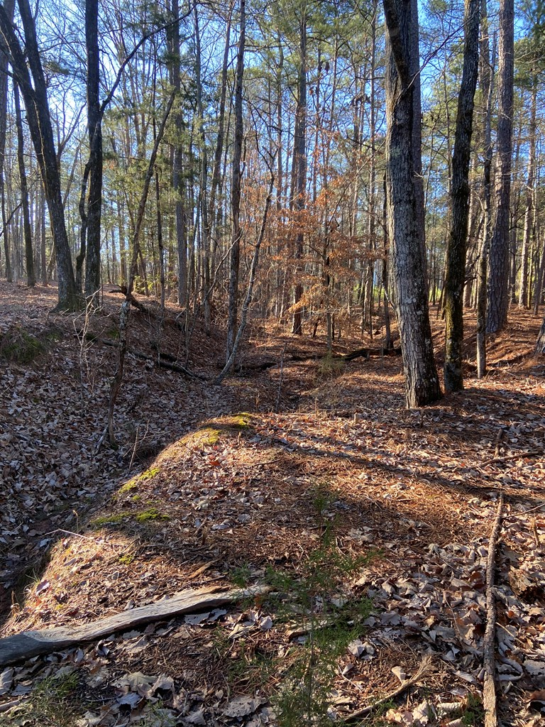 0 Kings Gap Road Pine Mountain, GA 31822 - Photo 16 of 19 Gallery Image 16