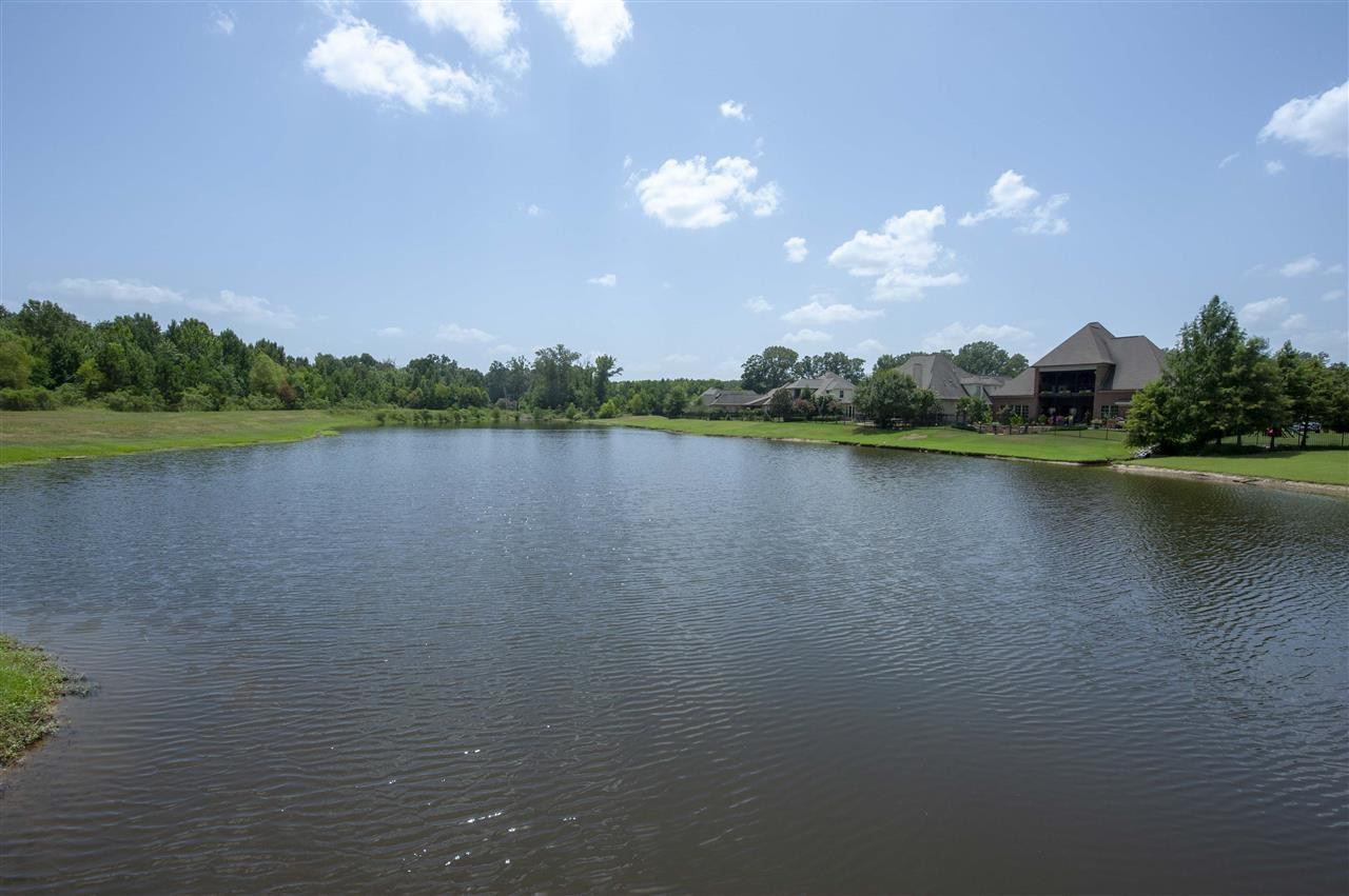Venice Way Way, Unit 90 Madison, MS 39110 - Photo 4 of 11 Photo 4