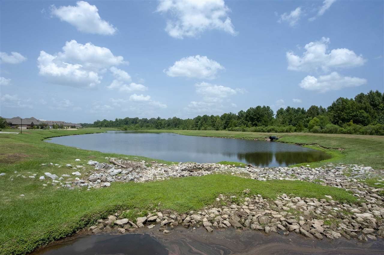 Venice Way Way, Unit 90 Madison, MS 39110 - Photo 5 of 11 Photo 5