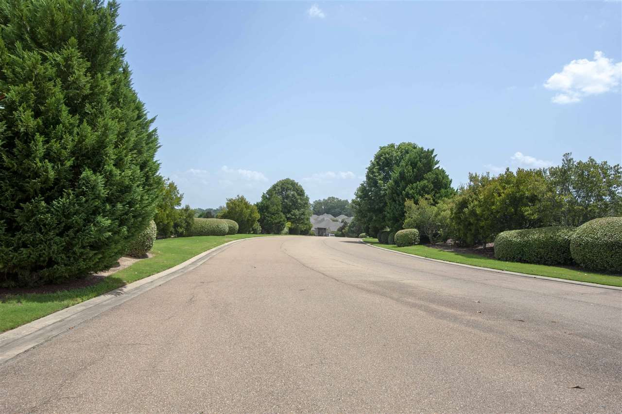 Venice Way Way, Unit 90 Madison, MS 39110 - Photo 8 of 11 Photo 8