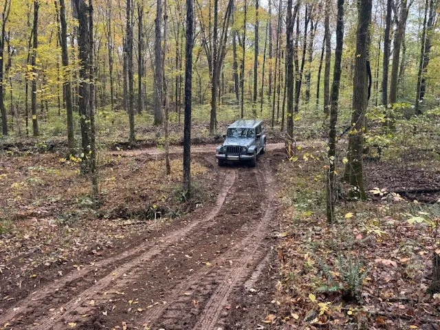a view of yard with trees