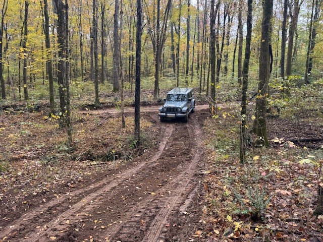 a view of yard with trees