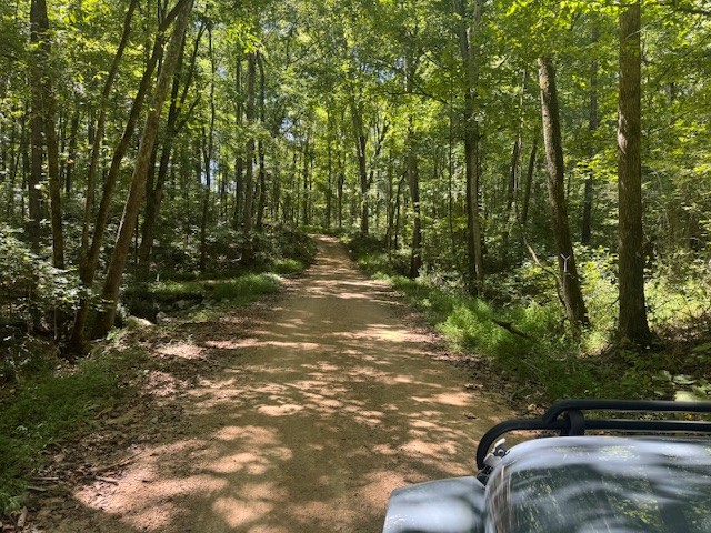 0 Barren Frk Lane Lyles, TN 37098 - Photo 11 of 29 a view of outdoor space and yard