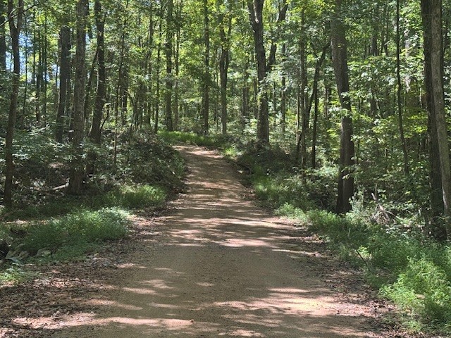 0 Barren Frk Lane Lyles, TN 37098 - Photo 12 of 29
