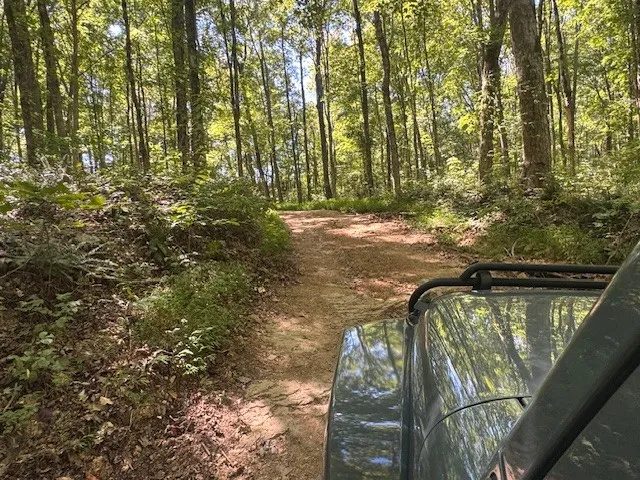 a view of outdoor space and green space