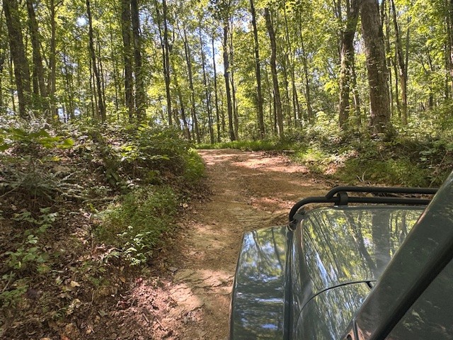 0 Barren Frk Lane Lyles, TN 37098 - Photo 13 of 29