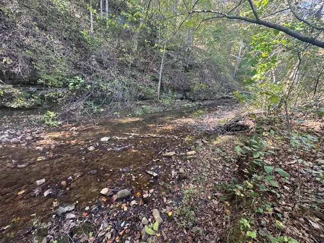 0 Barren Frk Lane Lyles, TN 37098 - Photo 15 of 29 a view of a tree with a tree