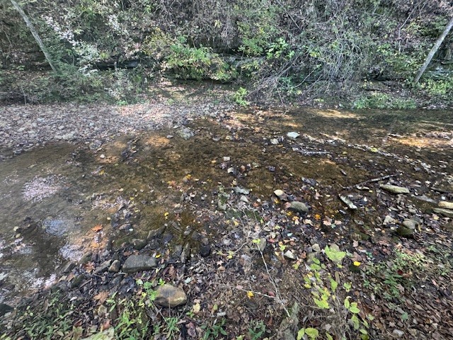 0 Barren Frk Lane Lyles, TN 37098 - Photo 16 of 29 a view of a yard with a tree